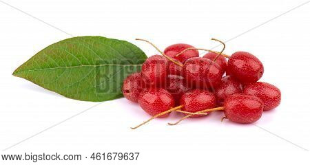 Elaeagnus Multiflora Isolated On White Background. Cherry Elaeagnus, Cherry Silverberry, Goumi Or Gu