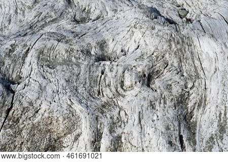 An Abstract Image Of The Texture On Old Washed Up Drift Wood.