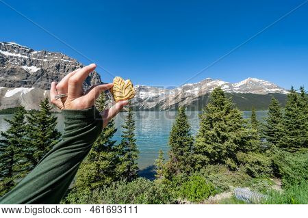 Hand Holds Up A Famous Maple Leaf Cream Cookie At Bow Lake In Banff National Park Canada