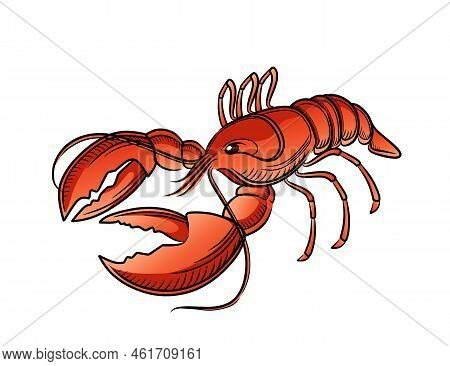Red Swamp Crayfish Cartoon Animal Design Vector Illustration Isolated On White Background