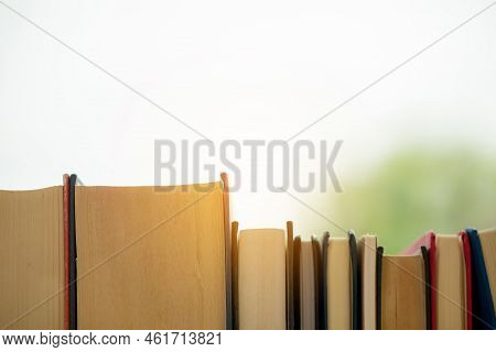 Object Education Green Nature Background With Stack Of Ancient Books Or Old Bible, Open Paper Book O