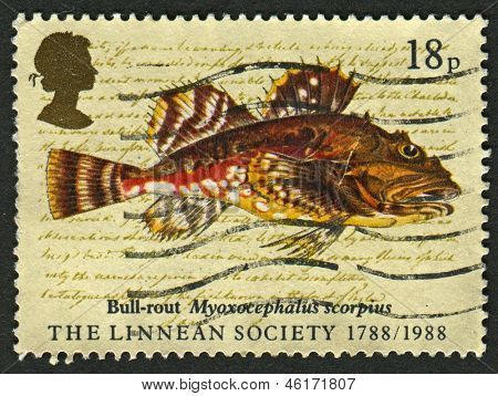 UK - CIRCA 1988: Et frimærke, trykt i UK viser billedet af den korte tornede Seascorpian (Bull-flugt), (Jon