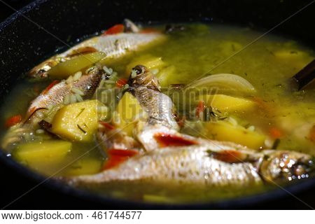 Defocus Fish Soup Ukha. Perch Fish In A Clear Broth With Diced Root Vegetable Served In White Plate 