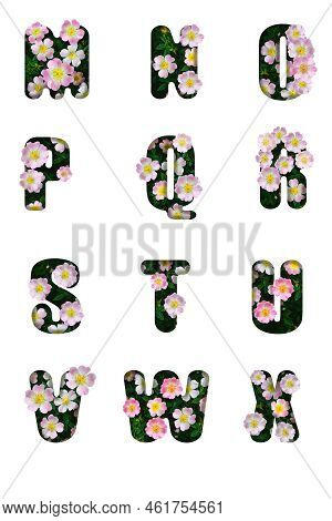 Floral Letters. The Letters V,n,o,p,q,r,s,t,u,v,w,x Are Made From Colorful Flower Photos. A Collecti