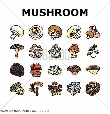 Mushroom Food Forest Fungi Icons Set Vector. Fungus Champignon, Nature Fresh, Plant Autumn Porcini, 