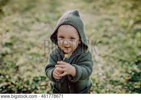 Portrait Of Cute Little Boy Wearing Knitted Hoodie In Nautre, Autumn Concept.