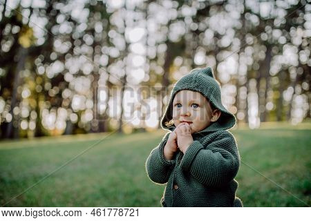 Portrait Of Cute Little Boy Wearing Knitted Hoodie In Nautre, Autumn Concept.