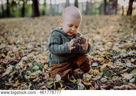 Portrait Of Cute Little Boy Playing With Conifer Cone And Wearing Knitted Hoodie In Nautre, Autumn C