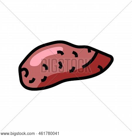 Sweet Yam Potato Color Icon Vector. Sweet Yam Potato Sign. Isolated Symbol Illustration