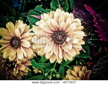 Blommor I