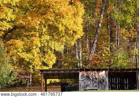 Autumn Gold Fills Forest At The Foot Of The Appalachian Mountains.  Small Country Shed Sits In Foreg