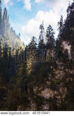 Gorge Of Cetatile Ponorului, Romania. Coniferous Trees On The Rock Above The Cave. Discover Apuseni 