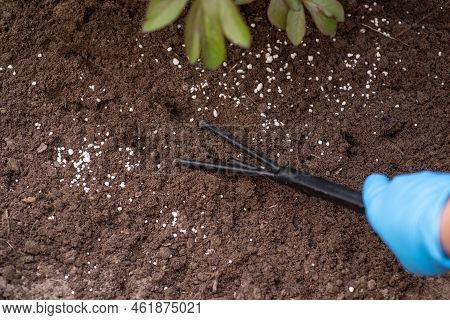 Mixing Soil With Granulated Fertilizer In Organic Garden For Better Growing Of Plants. Fertilising P