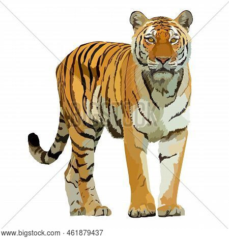 Tiger Realistic Icon Vector Illustration Wild Animal.
