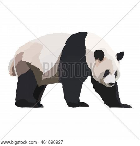 Realistic Panda Icon Vector Illustration Wild Animal.