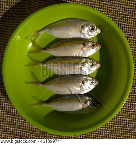 Serang, Indonesia - August 27 2021: Decapterus Fish (or Ikan Layang) From Indonesian Market, Process