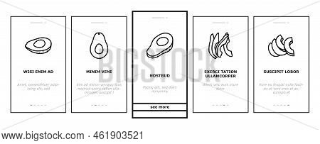 Avocado Food Green Half Onboarding Mobile Vector. Vegetable Slice Fresh, Healthy Organic Seed, Tropi