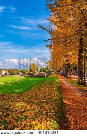 Autumn And Foliage In Lucca. Anciet City Walls Park With Autumnal Leaves