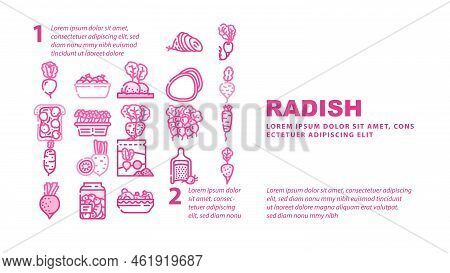Radish Food Organic Vegetable Landing Web Page Header Vector. Healthy Plant, Garden Nature, Red Ripe