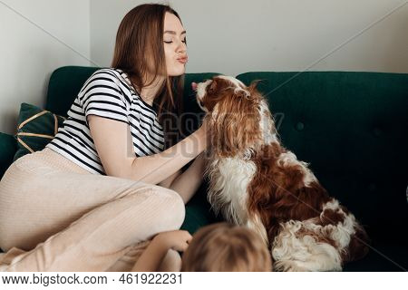 Cute Cheerful Young Woman, Owner Sitting On Sofa, Kissing And Playing With Coker Spaniel At Home. Re