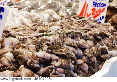 Many Small Octopuses On Ice In The Market. The Concept Of Sea Food. Horiontal Rintation. Selective F