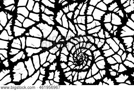 Black And White Pattern Abstract Texture. Abstract  Background Design. Vector Illustration.