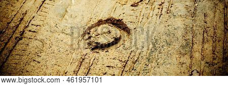 The Imprint Of A Horse's Shod Hoof And Car Tires Remained On The Wet Sand After The Rain. Equestrian
