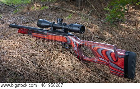 Rimfire Semi-automatic Rifle With Riflescope And Laminated Red Stock In The Forest