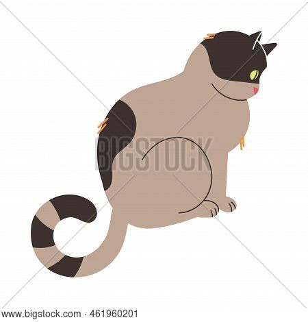 Fluffy Cat With Grey Spotted Coat And Curved Tail Sitting Vector Illustration