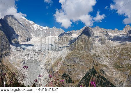 Mountain Range Of The Italian Alps And Alpine Pink Flowers Willowherb On A Sunny Summer Day.