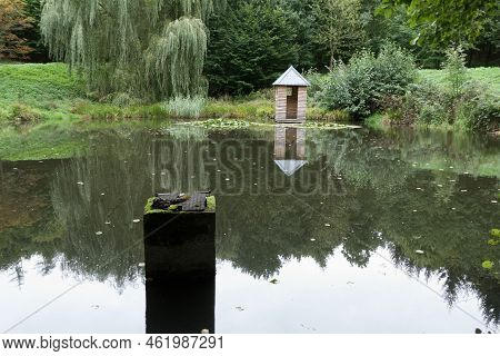 Lake Pond With Water Lillies