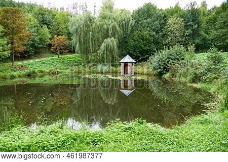 Lake Pond With Water Lillies