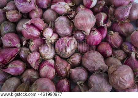 Top View Of Red Onion Or Shallot, Suitable For Web Landing Page, Banner, Background.