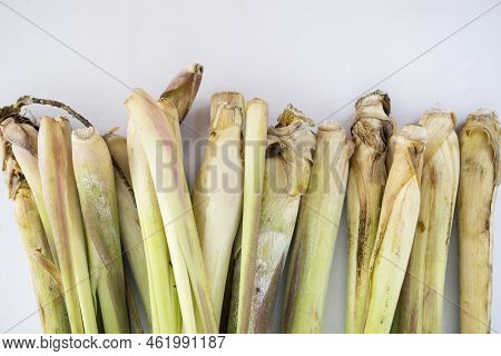 Lemongrass Leaf Isolated On White Background, Lemongrass Is A Plant Belonging To The Grass Tribe Whi