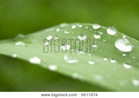 Drop