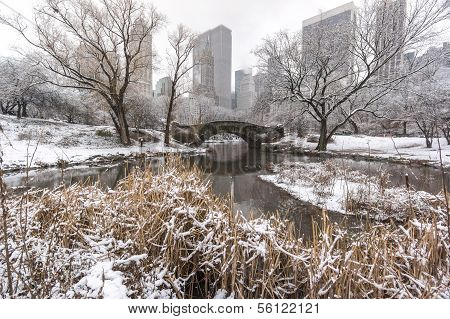 Gapstow Bridge Central Park, New York City