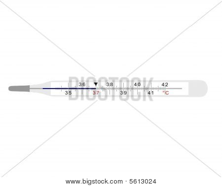 Analog kliniske termometer på hvid baggrund