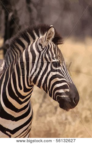 Zebra Head Side Profile Vector