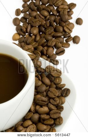 Æg