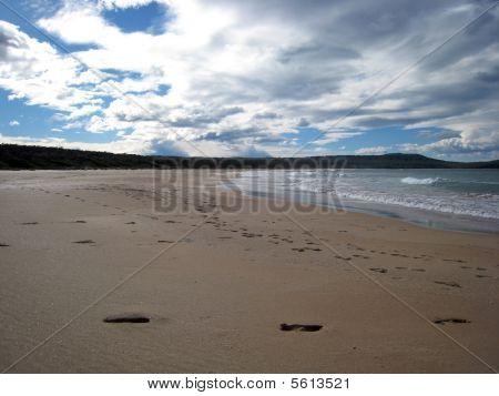 Desertedbeach