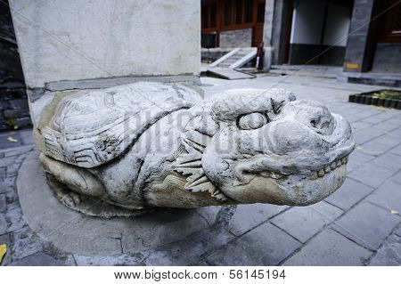 Giant Land Turtle