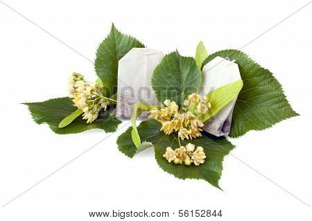 Linden