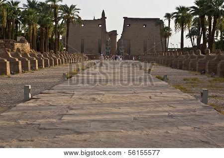 Route in Luxor-Tempel