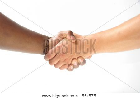 Diverse Handshake