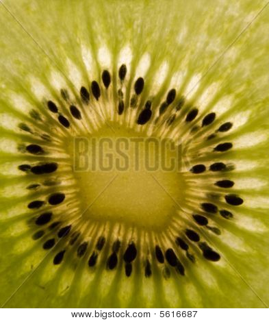 Kiwifrugt