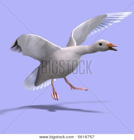 나는 눈 거 위