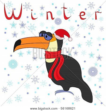 Why Toucan Is So Cold In Winter?