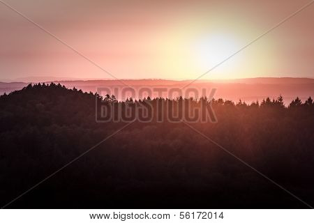 Wonderful Magic Sunshine Over A German Forest