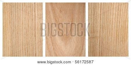 Ash tree wood texture