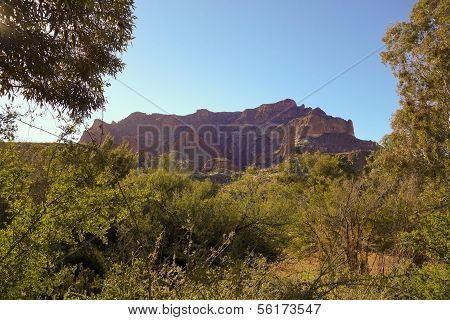 Picketpost Mountain